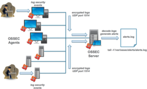 Ossec Flow