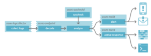 Ossec Directory Structure