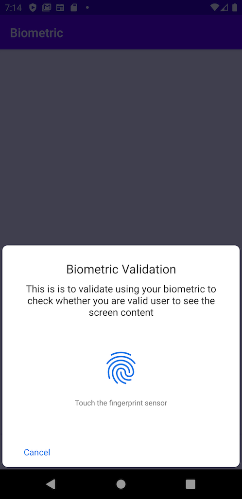 Biometric validation