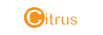 Citrus Pay, a journey from an idea to acquisition.