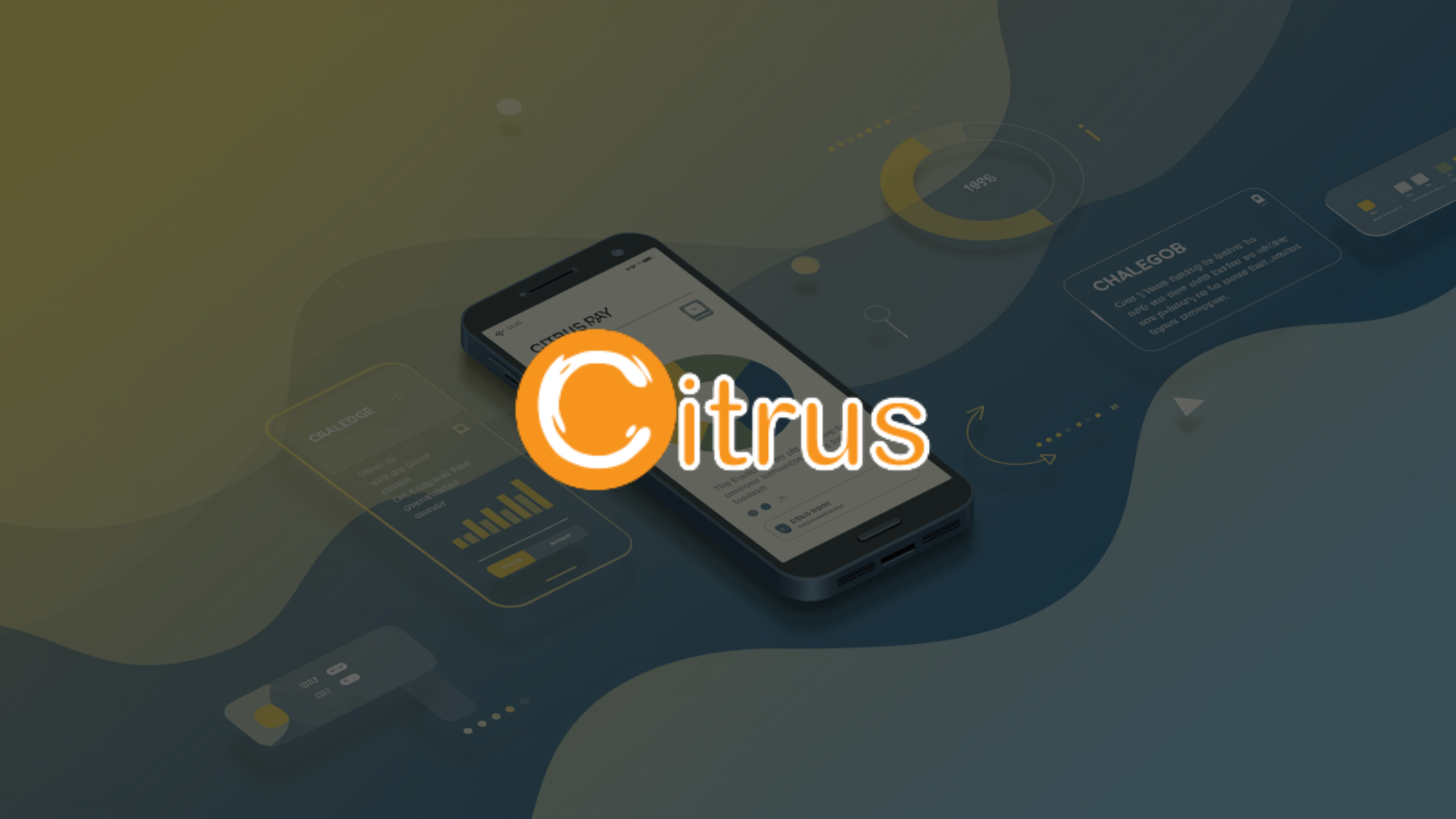Citrus Pay, a journey from an idea to acquisition